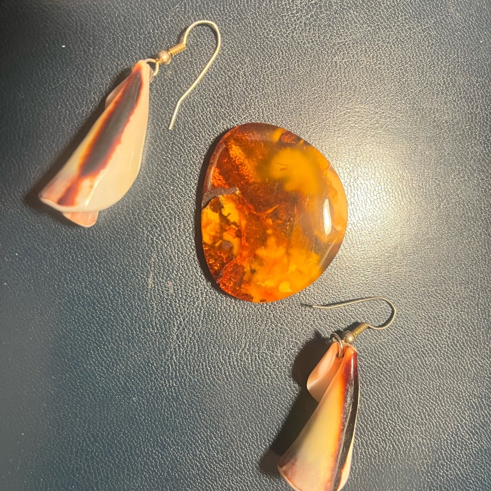 Elegant Shell Earrings